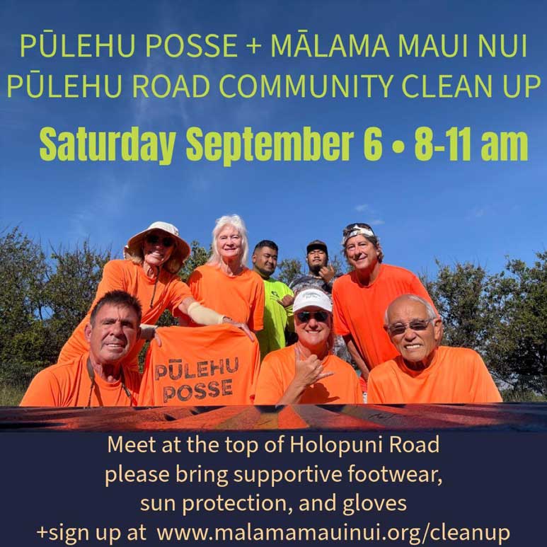Pulehu Road Community Clean Up