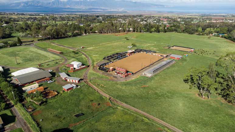 Makawao Rodeo 2025